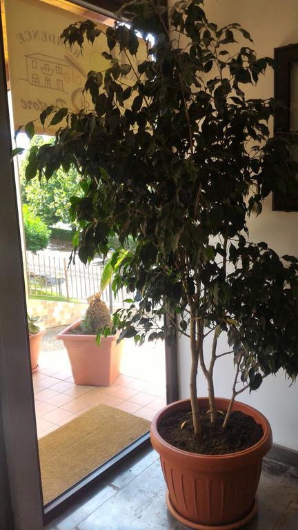 לינה וארוחת בוקר רנדה Raggio Di Sole מראה חיצוני תמונה